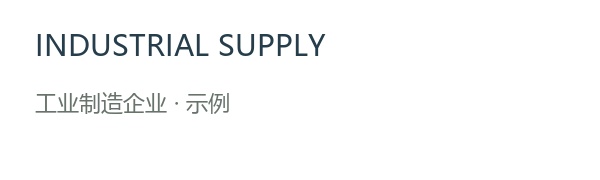 工业制造企业 · 示例